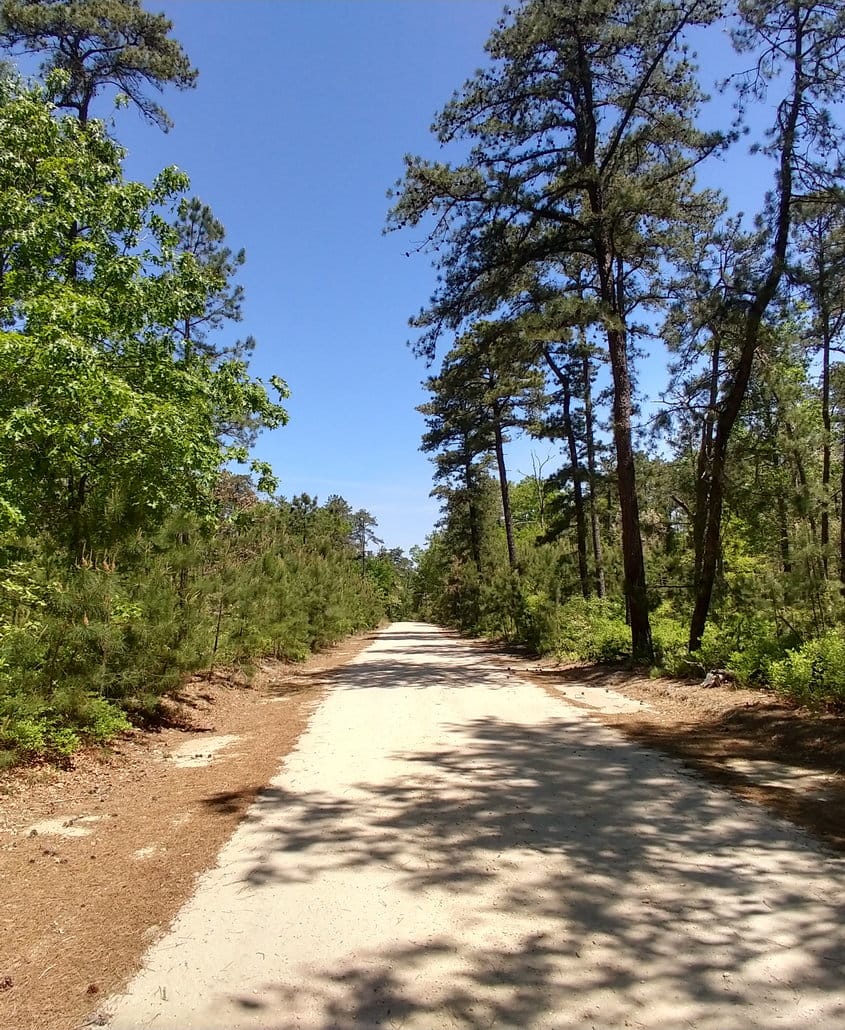 Nature Reserves & Bird-Watching Near By